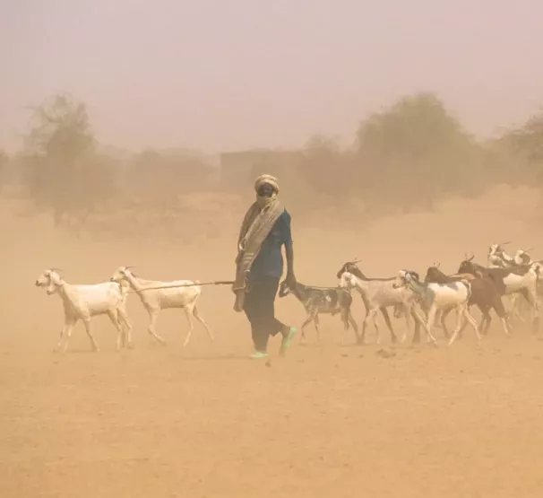 People with respiratory issues should take necessary precautions - Nimet forecasts 3-day dust haze from Thursday