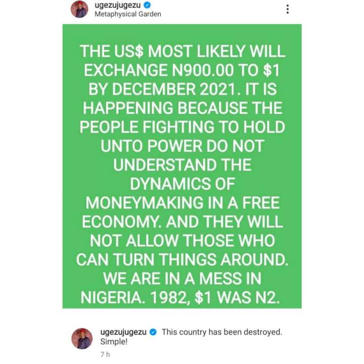 'This country has been destroyed. Simple!'- Filmmaker Ugezu Ugezu reacts to alarming Naira to Dollar exchange rate