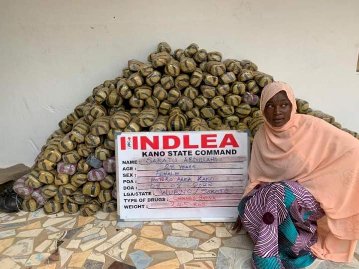 NDLEA uncovers 442 parcels of Crystal Meth in heads of smoked fish in Lagos as returnee excretes 77 wraps of cocaine at Enugu airport