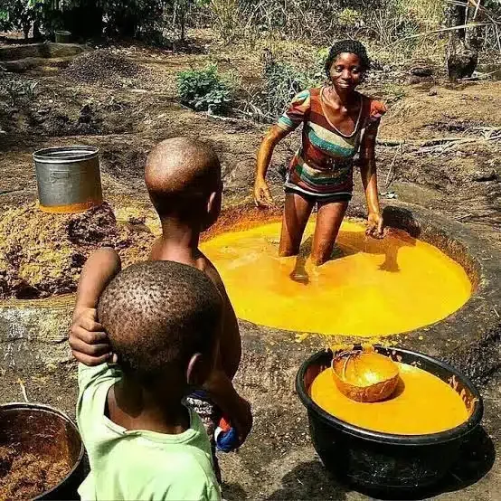 'Dem fit dey pee and menstruate inside this thing' - Nigerians react to photos of women processing palm oil