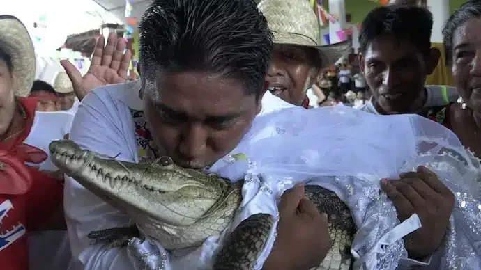 'I love her' - Victor Hugo Sosa, mayor of Mexico town marries female crocodile (video)