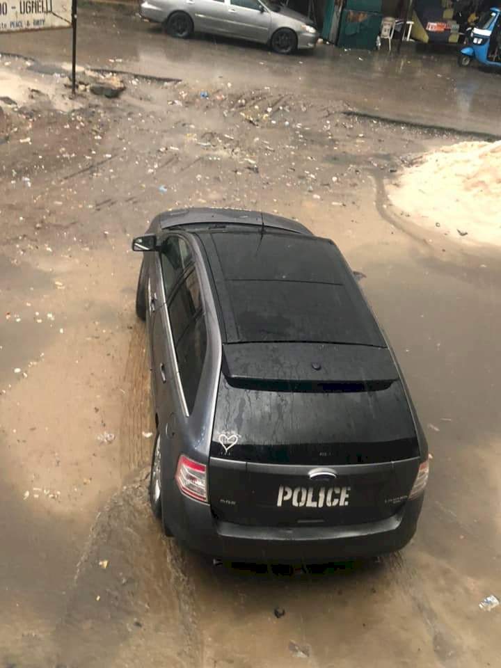 Suspected phone thief rescued from angry mob and bundled into boot of police vehicle in Delta (photos)