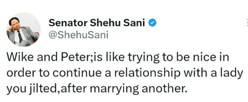 'It's like being nice to a lady you jilted' - Senator Shehu Sani describes Gov Wike and Peter Obi's relationship