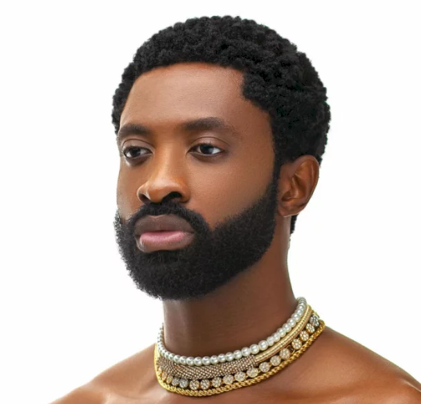 Ric Hassani apologises after receiving heat for belittling his colleagues' performances while hailing Burna Boy