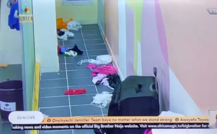 BBNaija All Stars: Ike caught on camera scattering Ilebaye's clothes to get her a 3rd strike (Video)