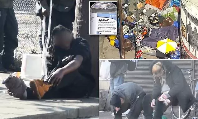 Shocking scenes in America as addicts of 'flesh-eating: drug move around streets of LA like 'zombies' (video)