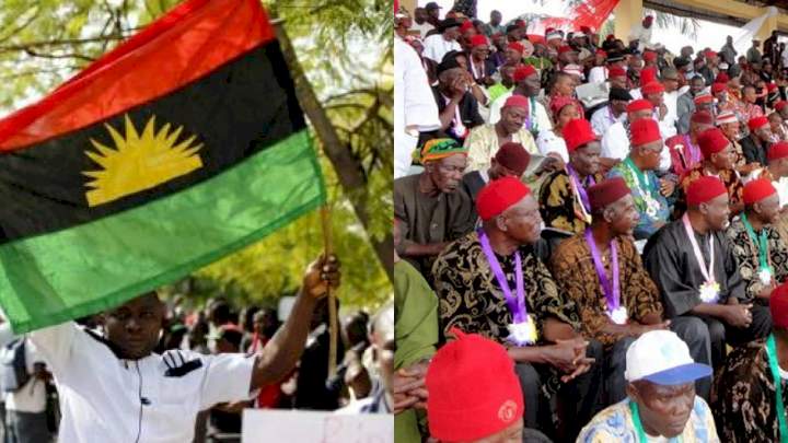 IPOB must apologize to Igbo people for its mistakes and naughtiness and for initially ordering Sit-at-home in SouthEast - Ohaneze Ndigbo