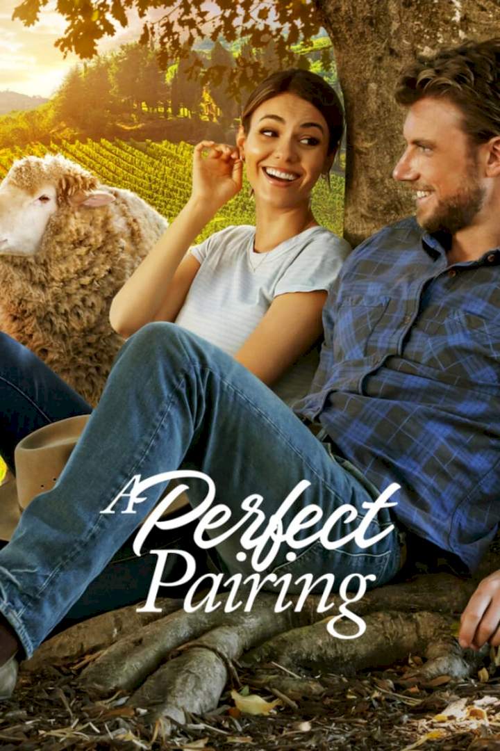 A Perfect Pairing (2022) A Perfect Pairing (2022)