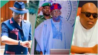 'Military Men Will Arrest Tinubu': Full List of Failed Political Prophecies in 2023