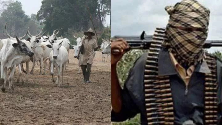 BREAKING: Many feared dead, others injured as herdsmen attack Enugu community