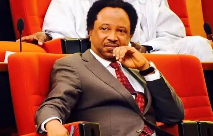 Is it the fear of thugs- Shehu Sani wonders why people attack the President for requesting for loans but not the lawmakers who approve them