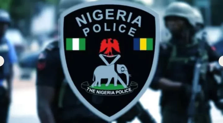 Stampede: Police release six suspects from custody