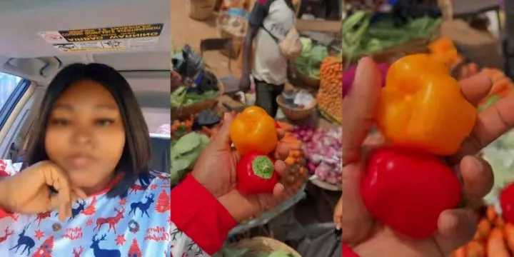 Lady sparks outrage after spending ₦4k on 2 peppers, ignites debate online