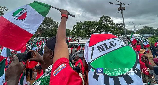 NLC condemns govt's response to #EndBadGovernance protests, demands policy reversal