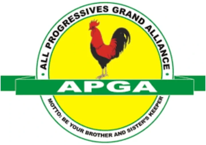 2027: Proposed merger a waste of time - Ex-APGA presidential aspirant, Okoye