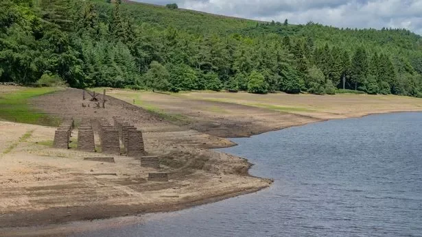 Drought declared in the UK Midlands - as people are urged to "use water wisely" Drought declared in the UK Midlands - as people are urged to "use water wisely"