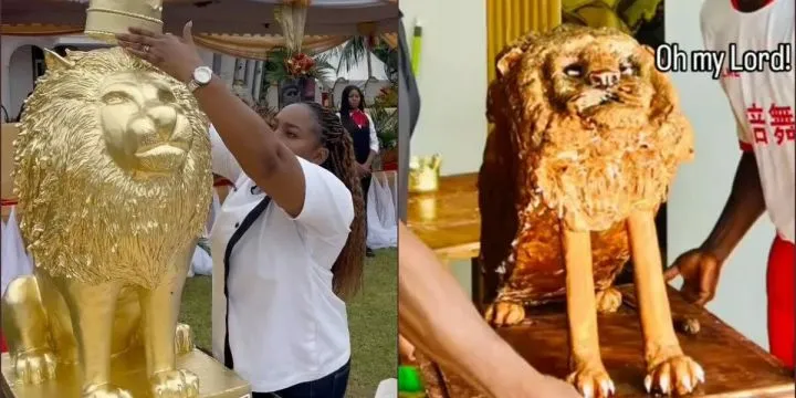 Baker drags colleagues over unrecognizable lion cake design Baker drags colleagues over unrecognizable lion cake design