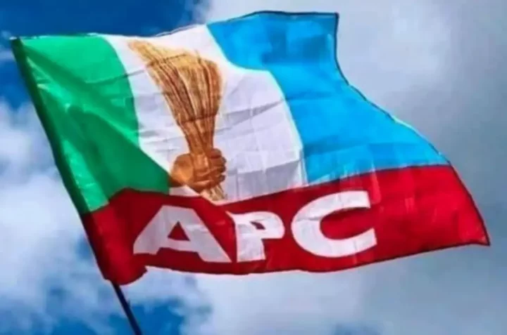 APC wins all 23 Benue LG election petitions at Appeal Tribunal