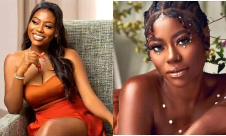 'You are disgusting if you financially bully a woman to stay with you' - Davido's baby mama, Sophia Momodu