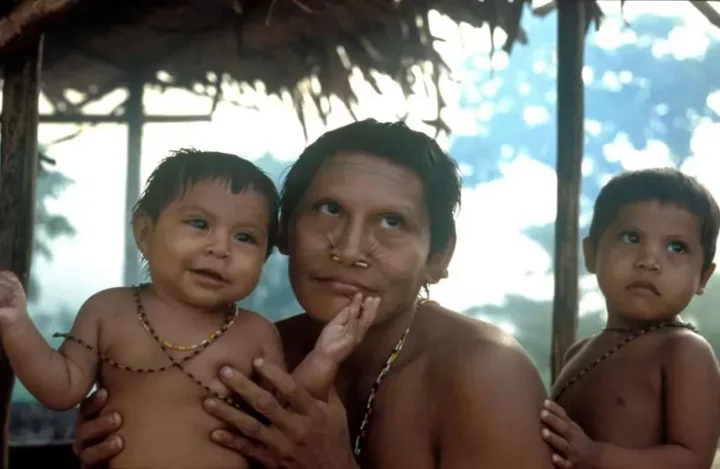 Why Amazonian men willingly father children who are not biologically theirs