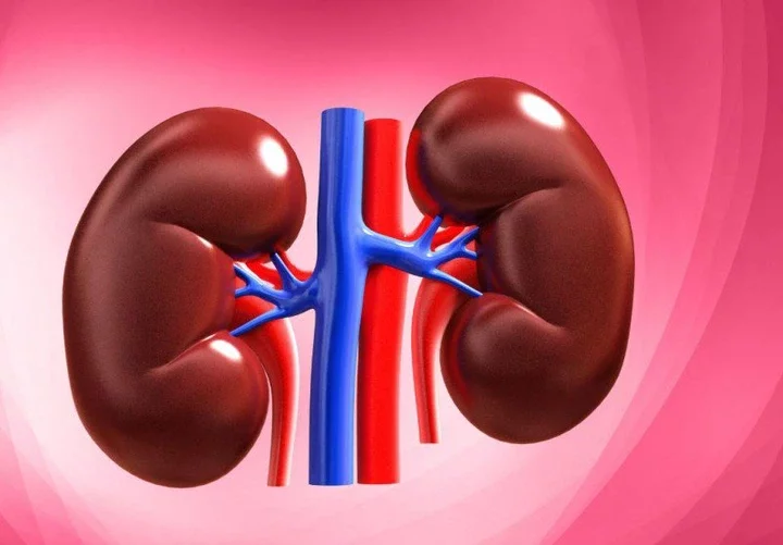 If You Want to Protect Your Kidneys from Damage, Eat These 5 Things Daily
