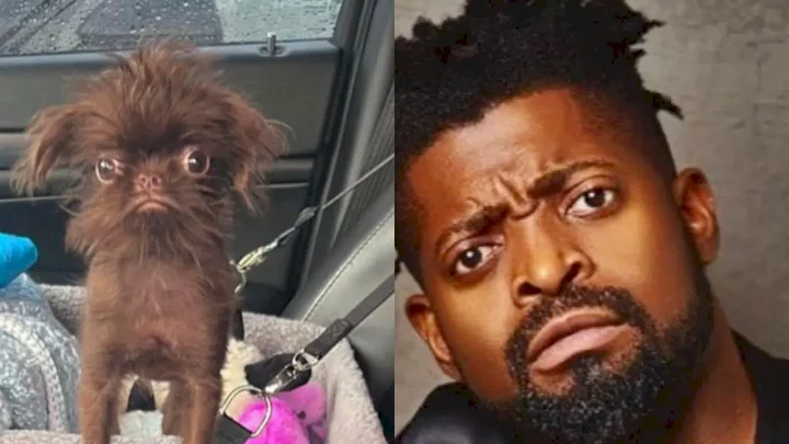 "E resemble you abi e no resemble you?" - Reactions as Basketmouth blows hot after being compared with a dog