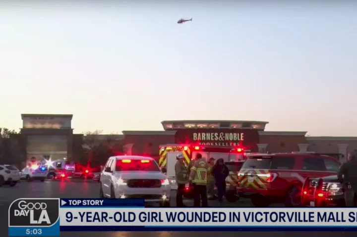 9-year-old girl shot at mall while waiting to see Easter Bunny