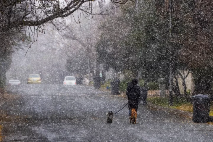 A man walks his dogs during a snow storm