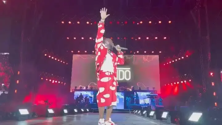 Anita Brown hails Davido as he performs at Afro Nation (Video)