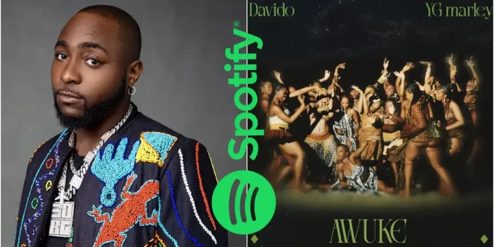 Davido's Awuke sets record, earns highest Spotify streams in a day