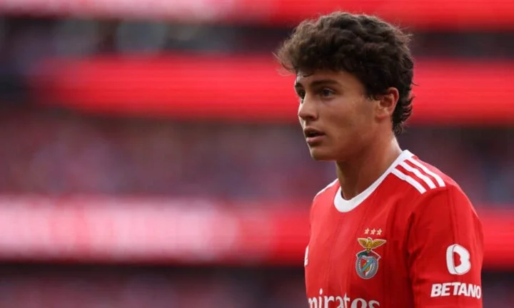 Man Utd interested in signing Benfica star Joao Neves