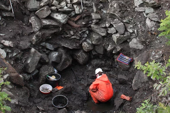 Scientists dug up the remains at Sverresborg Castle in central Norway