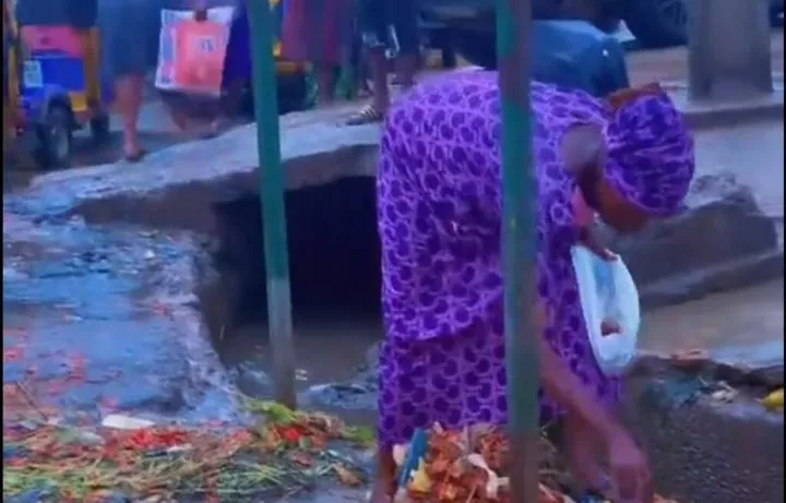 Woman sparks emotions after picking discarded roadside tomatoes amid tough economy