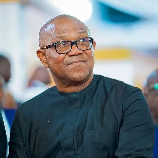 'Nobody Goes Around Searching For Foreign Investors' - Peter Obi Tackles President Tinubu
