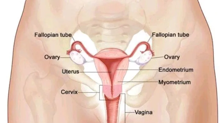 Causes Of Painful Periods and How to Stop It