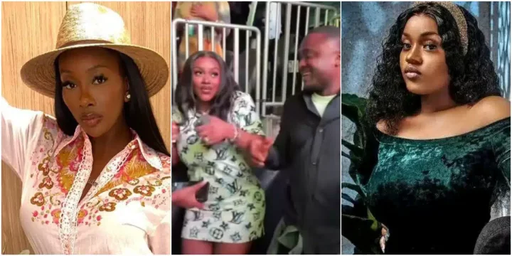 Anita Brown reacts to viral video of Chioma dancing at Davido's concert in Atlanta