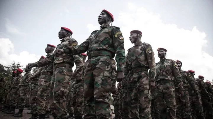 Top 10 African Countries With the Largest Armies