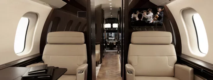 Who owns the largest private jet in Africa?