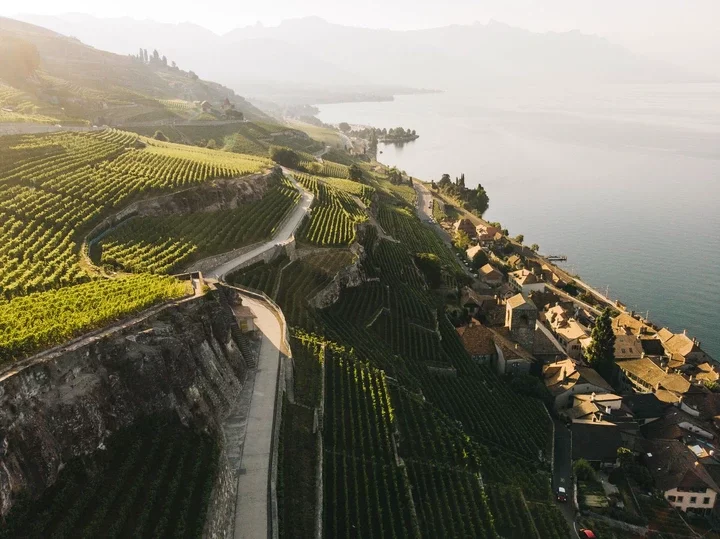 Image may contain Outdoors Nature Countryside Rural Aerial View Farm Sea Water and Road