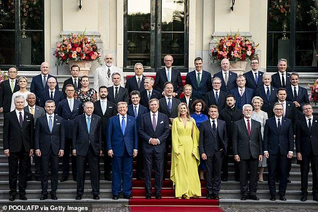 NATO country leaders pose for a photo at the summit (Marles is pictured back right)
