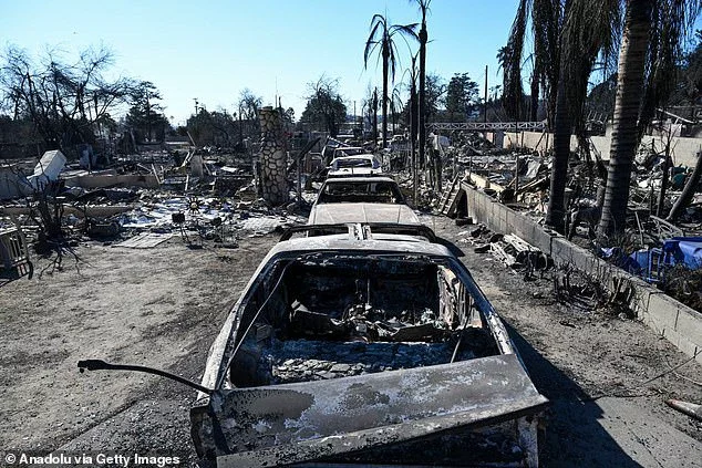 At least 24 people have died and 12,000 buildings burned to the ground in multiple fires across Los Angeles this month