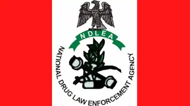 NDLEA Logo Contest: National Drugs Law Enforcement Agency Logo Design&nbsp; Contest 2022 - MyscholarshipNG
