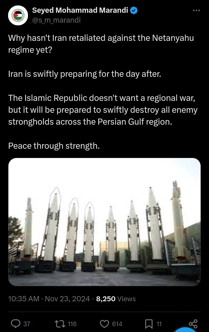 Retaliation: Iran Will Be Prepared to Swiftly Destroy All Enemy Strongholds - Seyed Mohammad Marandi