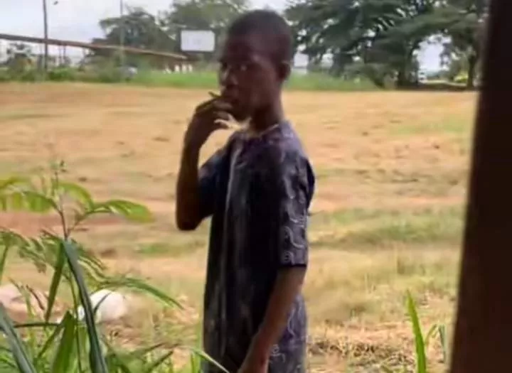 Nigerian boy eats grass amidst hunger crisis