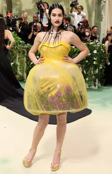 Celebrities stun on the red carpet at the 2024 Met Gala