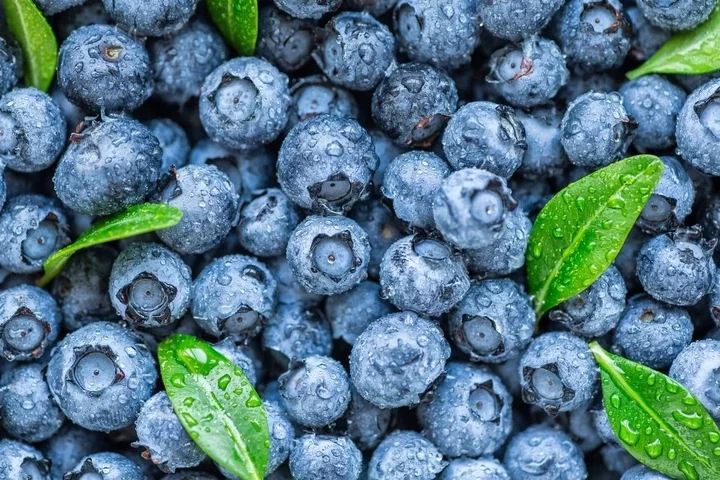 5 Foods That Will Boost Memory and Brain Health