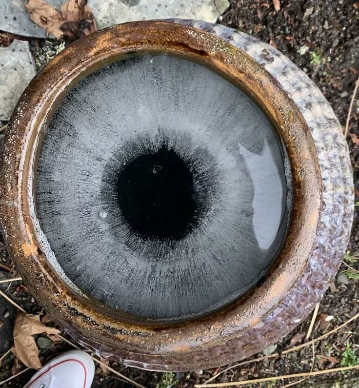 A Vase Full Of Water That Froze Resembles A Blue / Gray Iris Of A Human Eye