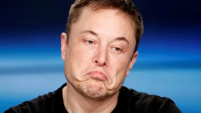 What's happening in UK is 'crazy' - Elon Musk