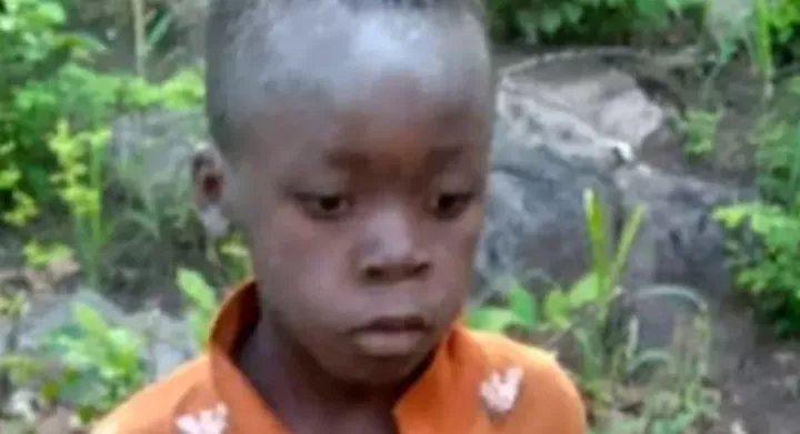 8-year-old boy survives 5 days in the wild amongst lions and other dangerous animals