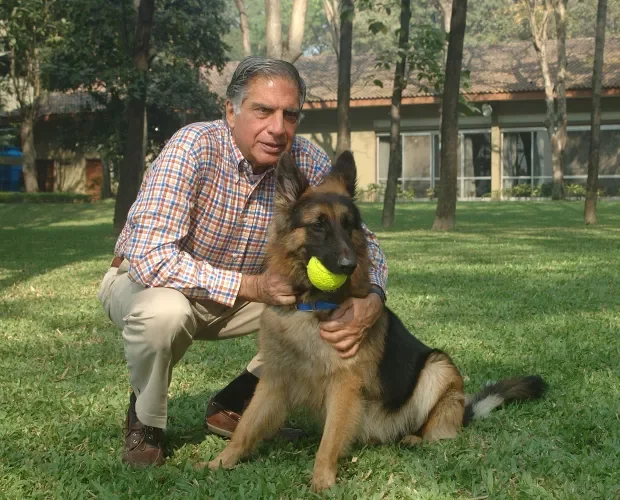 Indian Billionaire leaves large chunk of his £91million fortune to his DOG in his will